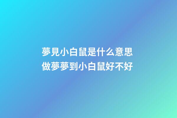 夢見小白鼠是什么意思 做夢夢到小白鼠好不好